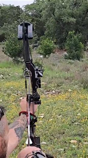 58 yards howling wolf #totalarcherychallenge #3darchery #bowhunting #archery #outdoors #texas #hunt
