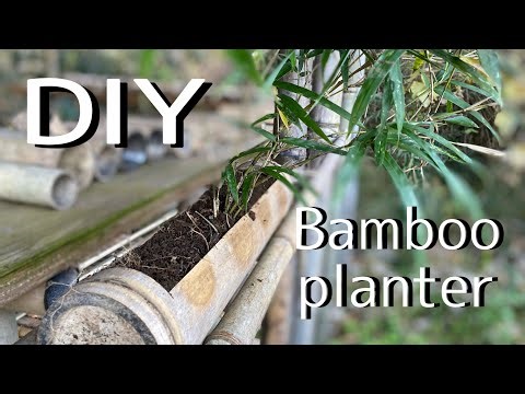 【DIY】bamboo planter 竹プランターづくり