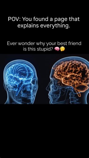 Detex Explains on Instagram: "Ever wonder why your best friend is this stupid? 🧠🤔 It’s not a lack of intelligence… it’s a special talent for making the worst possible decision at the funniest time. And somehow, that’s exactly why life is never boring with them around. Chaos builds character, right? #BestFriendEnergy #NoThoughtsJustVibes #RelatableAF"
