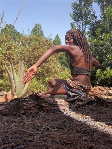 Dances With Aloe