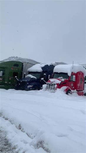 Stunning Snow-Covered Semi-Trucks in Winter Landscape