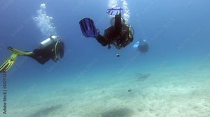 4K.Divers swimming underwater sea.Training and education of professional diving people.Swim underwater shallow depth deep practice supplies oxygen tube coastline sport sports scuba adventure under