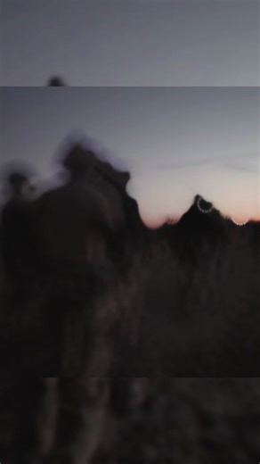 Pursue Excellence in Special Forces Training