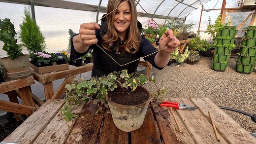 32K views · 4.7K reactions | DIY Ivy Wreath Topiary + Planting Snapdragon & Delphinium Seeds! 勺 https://www.gardenanswer.com | Garden Answer | Facebook