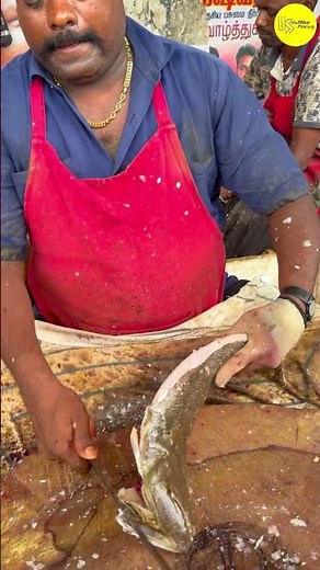 KASIMEDU SPEED SELVAM SOLE FISH 🐟 CUTTING VIDEO #kasimeduselvam #bigfish #shorts #fishcuttingworld