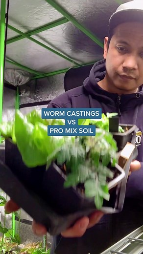 Best Soil Mix for Seedlings: Worm Castings vs Pro Mix