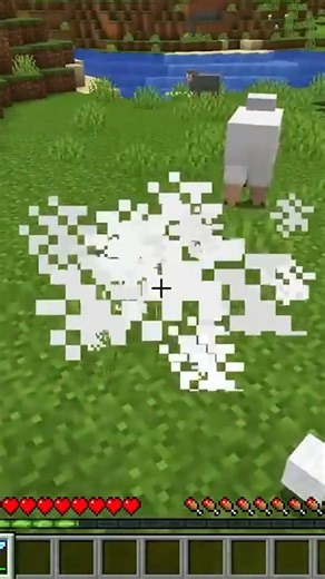 Java vs Bedrock Shocking Differences! #shorts #gaming #minecraft