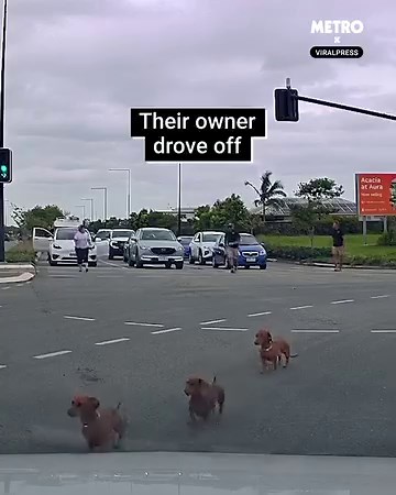 7.9M views · 44K reactions | Everyone rallied around to help them! | Metro | Facebook