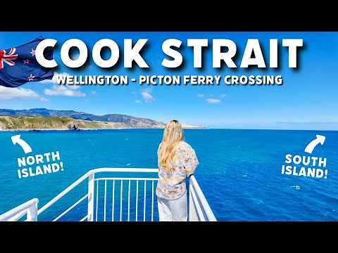 Crossing the WILD Cook Strait in New Zealand! (Wellington to Picton by Ferry ⛴️ )