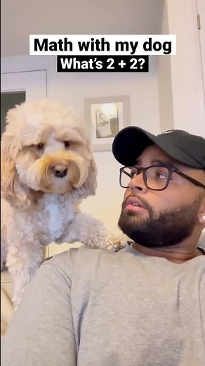 My dog ACTUALLY knows how to do math questions… 😳😂 #dogs #viral #shorts #math #doglover