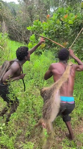 How much have I seen in this forest in this life.