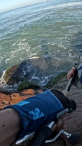 11K views · 101 reactions | #Robalo #fishing #viral #videopesca #snookfish  | Javier Luna - pesca | Facebook