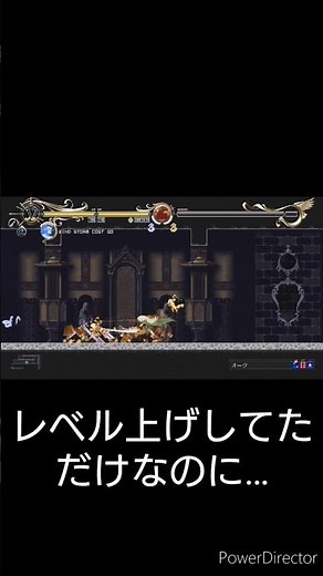 まさかのドロップ！？ ロードス島戦記ディードリット・イン・ワンダーラビリンス