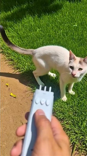 Powerful Mini Launcher #Arduino #DIY