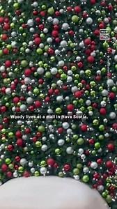 Cute or terrifying? Woody the Talking Christmas Tree is back just in time for the holidays 🎄 | NowThis