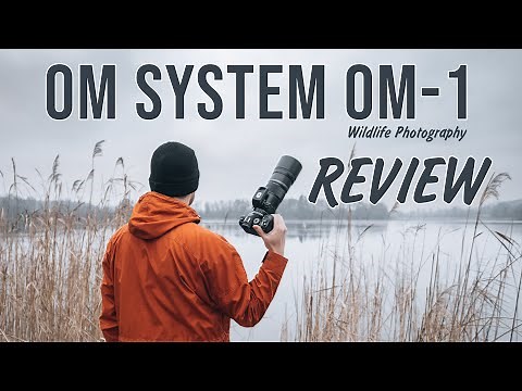 OM SYSTEM OM-1 Review for Wildlife Photography