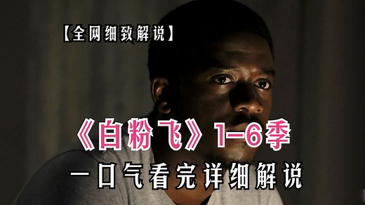 一口气看完高分美剧《白粉飞》1-6季完整版！一部极具写实的黑帮犯罪剧，看普通小伙如何成为毒品大佬！