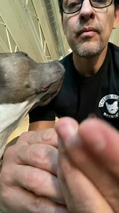 How to give your dog CBD/ FECO for inflammation and or cancer. Talk to Jesse Ramirez for protocol and info. #CBD #CannabisOil #Lymphoma #CanineLymphoma ￼￼￼￼ | Peace, Love & Pit Bulls