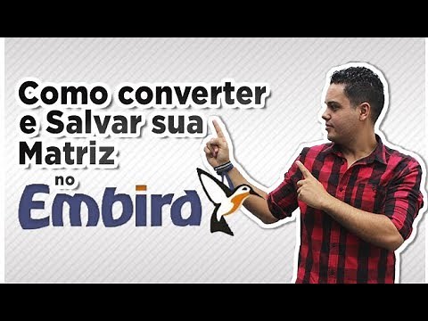 HOW TO CONVERT AND SAVE YOUR MATRIX IN EMBIRD