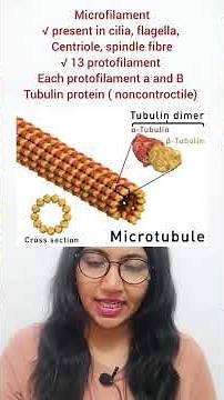 Cytoskeleton | Microtubule | Microfilament | Intermediate filament | cell biology #neet #class11th