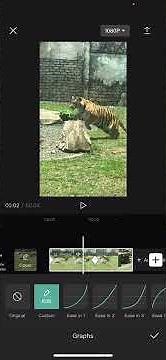 How To Use Graphs On CapCut