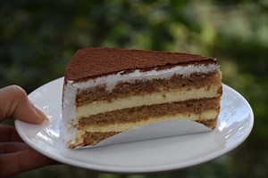 TORTA PUSLICA OD ČOKOLADE I LEŠNIKA: Miks kafe i ruma svideće se i gostima koji ne vole slatko