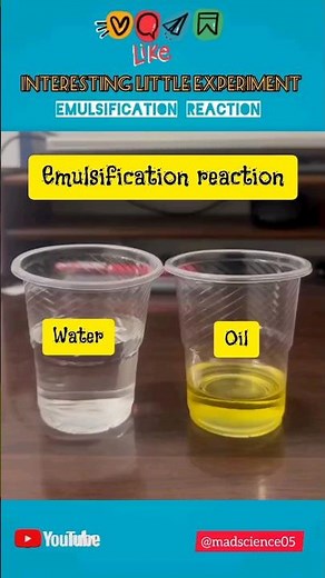 Emulsification Reaction | Water and Oil Experiment | Emulsifier Experiment #experiment #science