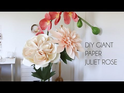 DIY Giant Paper Flower Juliet Rose perfect for Backdrops (How to make giant flowers)