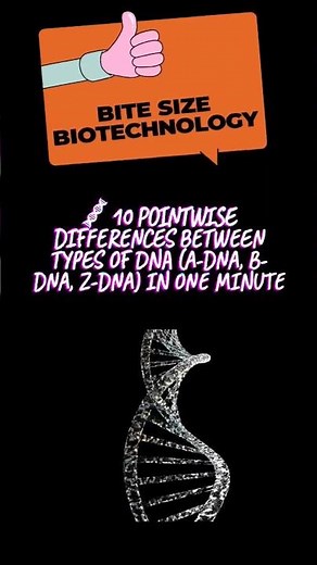 A-DNA vs B-DNA vs Z-DNA | DNA Types Explained Simply