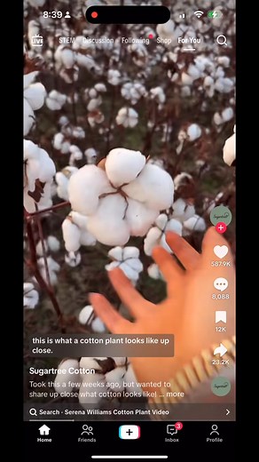 Just wait for the end I’ll show you the comments….🤣🤦🏻‍♂️🤷🏻👀🤣 | David Hayes