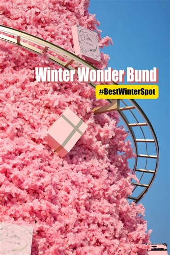 IP SHANGHAI on Instagram: "Winter magic in Shanghai is HERE 🧊✨ Shanghai’s biggest outdoor ice rink (1500㎡!) + 14m fairy-tale winter installation + whimsical loop train + top-tier outdoor concerts—West Bund’s 𝓦𝓲𝓷𝓽𝓮𝓻 𝓦𝓸𝓷𝓭𝓮𝓻 𝓑𝓾𝓷𝓭 is ON 🧊✨ Glide under dreamy lights, chase the pink “magic tree” vibe, and soak up the coziest winter in Shanghai right now! 🎄🚂 Don’t miss this #BestWinterSpot 🌟 . . . 🌟 𝓓𝓪𝓽𝓮𝓼: Now - Mar 4, 2026 📍𝓥𝓮𝓷𝓾𝓮: East of Theater Square, West Bund Drea