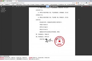 【自制展示】PDFSign演示（by 小北极星）