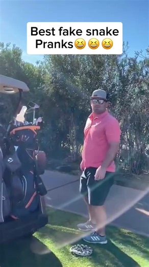 Funny clips | Scare pranks on Instagram: "Best fake snake pranks 🤣🤣🤯 #scareprank #funnyvideo #prank #funny #jumpscare #prankvideo #scarecam #sofunny #funnyprank #viral #funnymoment #funnycompilation #funnymask #snakeprank"