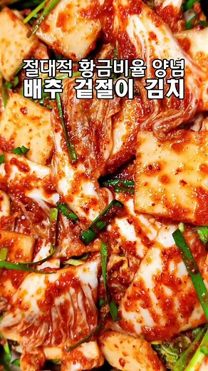 지금 담는 배추 겉절이 김치 꼭 이 진젓 넣고 해보세요/ 김치가 시원하면서 깊은 맛이 너무 맛있습니다 (재료) 배추 - 1.5포기 2kg(다듬어 1.5kg) 무 - 400g 부추 - 150g 고춧가루 - 9큰술 (절임) 배추 - 소금 3/4컵과 물 1컵 섞어 1시간 절임 무 - 소금 1/3큰술 섞어 15분 절임 (찹쌀풀) 찹쌀가루 - 1.5큰술 물 - 2컵 (믹서기 재료) 생강 - 1쪽 마늘 - 60g 사과 - 1/2개 배 - 1/2개 양파 - 1/2개 새우젓 - 1큰술 멸치 액젓 - 2큰술 황석어 진젓 - 2큰술 큰술 - 계량 스푼 큰술 (15ml) 작은술 - 계량 스푼 작은술 (5ml) 컵 - 계량컵 200ml *정확한 계량을 위해서 반드시 계량 스푼 또는 컵으로 해야됩니다 예) 큰술은 흔히 밥숟가락으로 대체하지만 실질적으로 양의 차이가 있습니다 *모든 요리에서 기본 양념에 조미료(다시다,미원등)을 추가하시면 더 맛있는 감칠맛을 낼 수 있습니다 일반적으로 요리남 레시피에서는 조미