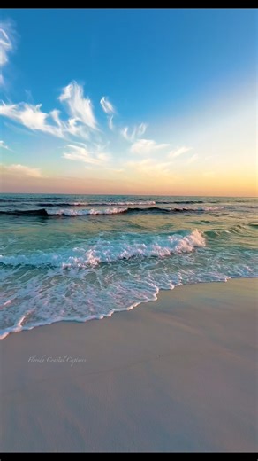 Today is the first day of fall in Florida! 🍁 Know what that means? Not a thing. It’s still hot out! 🫠 #happyfallyall #fallinflorida #florida #floridafall #floridacoastalcaptures #beach #emeraldcoast #sunset #nature #floridasunset #beachwalk #floridalife #floridabeaches | Florida Coastal Captures