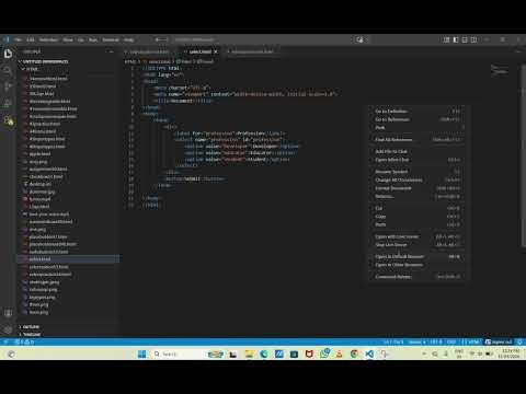 Select-Input Element in HTML||Drop-down ||Web Development