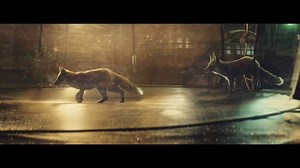 58K views · 1.6K reactions | Christmas is for everyone : This is the story of a little girl called Bridget who loves to bounce. When her mum and dad buy her a trampoline for Christmas, they soon discover that she isn’t the only one with a passion for jumping. Lets spread happiness . | Being Woman | Facebook