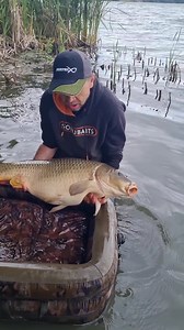 1.2K views · 46 reactions | A je to tady  | Fish Matrix | Facebook