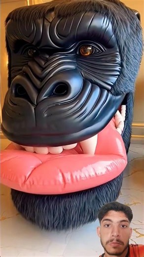 Want to sleep here #cobrakai #chimpanzee