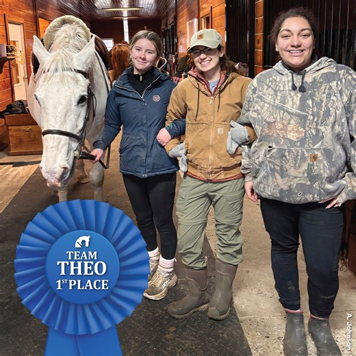 Gleneayre Equestrian Program on Instagram: "When bad weather keeps us out of the saddle, our “Working Students” perform team-building exercises indoors. In groups of three, one “brain” directs two “arms” to tack up a horse using communication skills, trust, and teamwork. Check out the video to see the fun! Congrats to Team Theo (Julianna, Lexi, and Na’Riah) on winning first place and a well-deserved weekend work “time off” voucher. #BarnClassroom #LearningBeyondTheSaddle #WellEarnedWin #Gleneayr