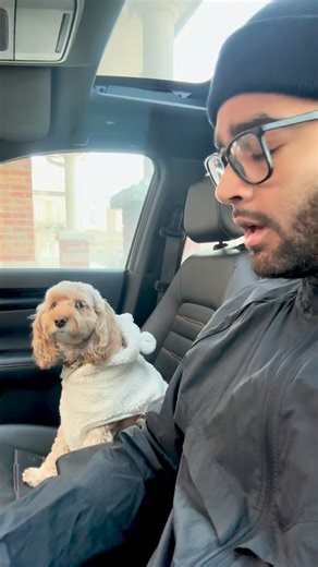 Her little head nod 🥹 #dogs #puppylove #minicockapoo | Luna The Mini Cockapoo