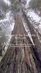 Introducing Tiny Tranquility Redwoods! We welcome your visit to Tiny Tranquility’s NEW second location in Hiouchi, California. We have spacious sites for your tiny home – and tiny homes available for sale! Come check out the stunning Pacific Northwest scenery in our “backyard”, and our generously spaced 27 acre tiny home and RV park. We have 120 full hookup sites ranging from 2,000 – 3,500 square feet for you to place your own tiny home and be part of building a new tiny home community. The park