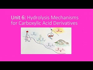 Hydrolysis Mechanisms of Carboxylic Acid Derivatives