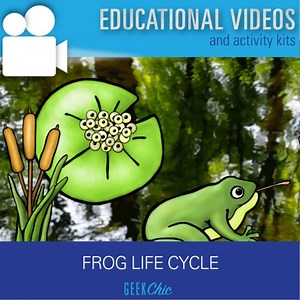 Biology Life Cycles: Frog Life Cycle Video   Activities Kit