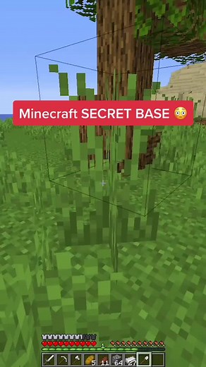 Just an ordinary house 😅 #minecraft #gaming #foryou #viral