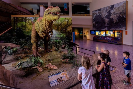 Family Days return to the Museum of Natural History & Science in Albuquerque