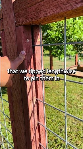 How to Build a Deer Fence for Garden