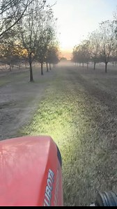50K views · 484 reactions | That’s a wrap on the 2025 pecan season! Harvest is compete and the Kubota horses are tucked away. The pecan store is open daily for your holiday needs along with the website where you can order directly from there!  Edwin Evers Pecans | Stewart Martin Kubota | Savage Equipment Inc | Edwin Evers | Facebook