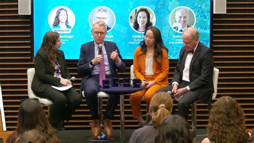 Economic statecraft or development: Does the distintict still hold? | Cindy Huang