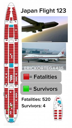 Japan Airlines Flight 123: A Survivor's Story